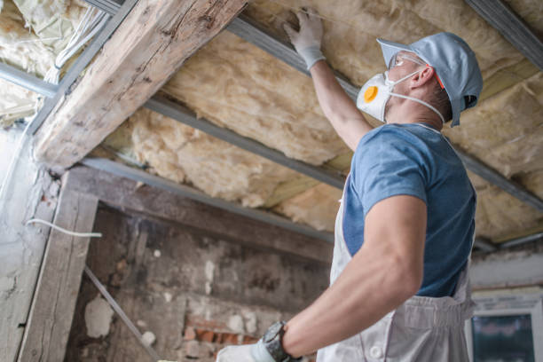 Best Geographic-Specific Insulation Services in Meadowbrook, AL