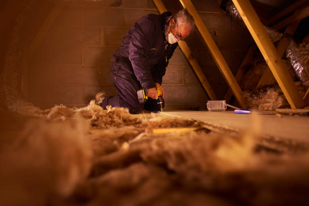 Types of Insulation We Offer in Meadowbrook, AL